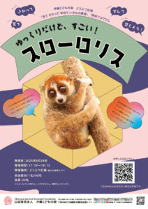 どうぶつ広場特別ワークショップ「ゆっくりだけど、すごい！スローロリス」