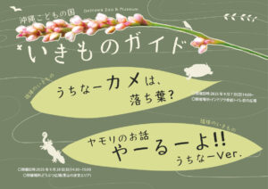 【9月】沖縄こどもの国いきものガイド