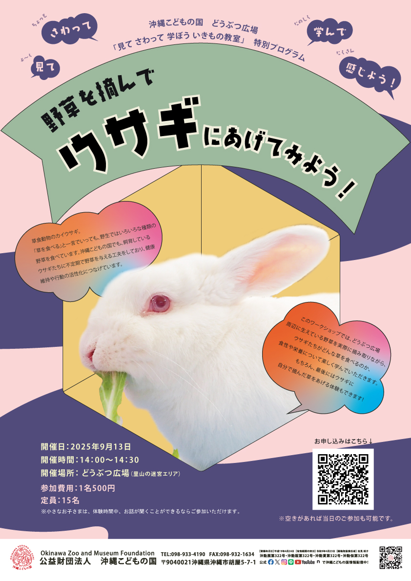 どうぶつ広場特別ワークショップ「野草を摘んでウサギにあげてみよう