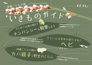 【10月】沖縄こどもの国いきものガイド