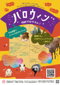 どうぶつ広場特別ワークショップ「動物たちにハロウィンのトリートを作ろう」