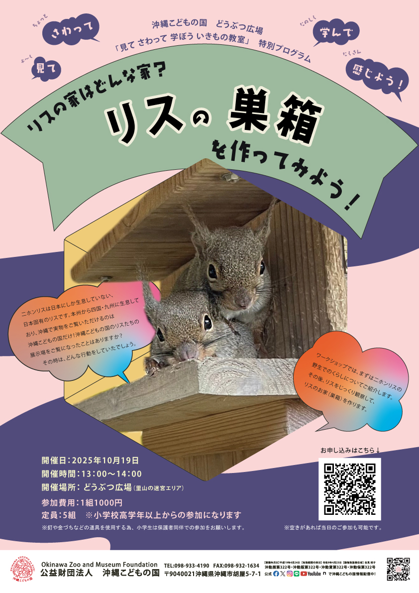 大きなリスのお家 どうぶつ広場特別ワークショップ「リスの家はどんな家？～リスの巣箱を