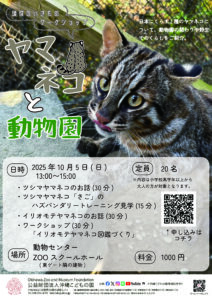 琉球のいきものワークショップ「ヤマネコと動物園」