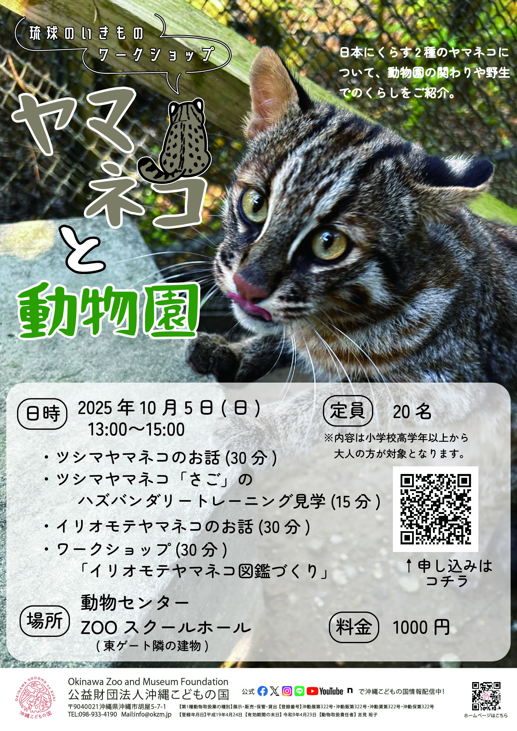 琉球のいきものワークショップ「ヤマネコと動物園」 | 沖縄こどもの国