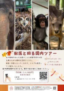 獣医と動物園見回りツアー