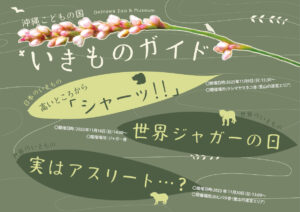 【11月】沖縄こどもの国いきものガイド