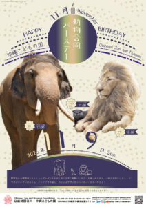 動物11月合同バースデー！