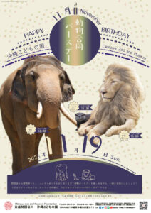 動物11月合同バースデー！