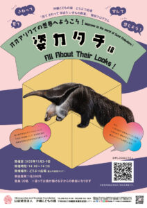 どうぶつ広場特別ワークショップ「オオアリクイの世界へようこそ！～姿かたち編～Welcome to the World of Giant Anteaters!–All About Their Looks–」