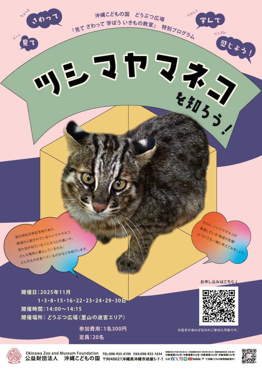 どうぶつ広場特別ワークショップ「ツシマヤマネコを知ろう」 | 沖縄
