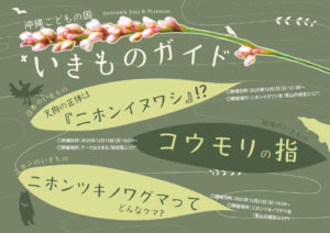 【12月】沖縄こどもの国いきものガイド