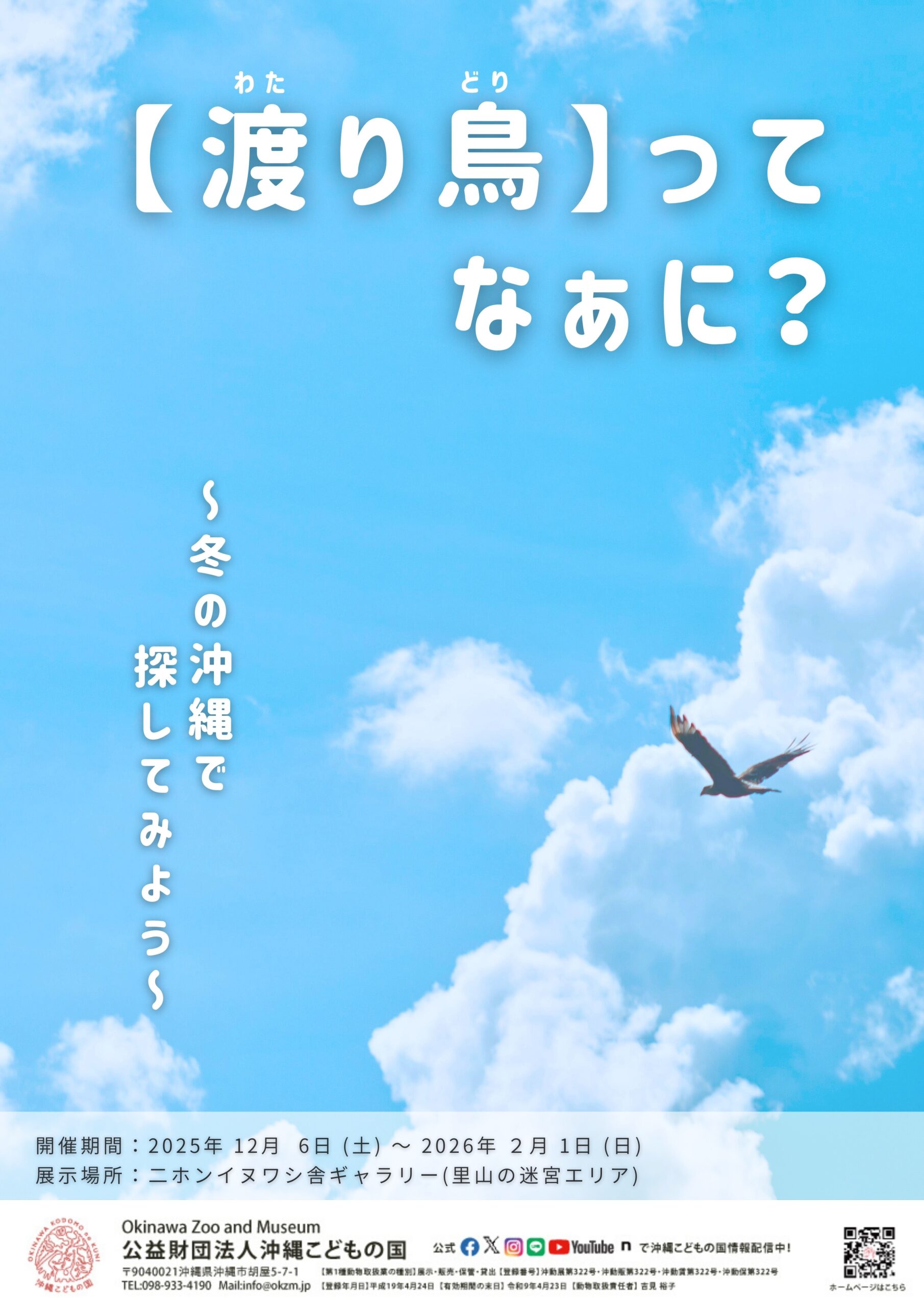 ミニ企画展「渡り鳥ってなあに？～冬の沖縄で探してみよう