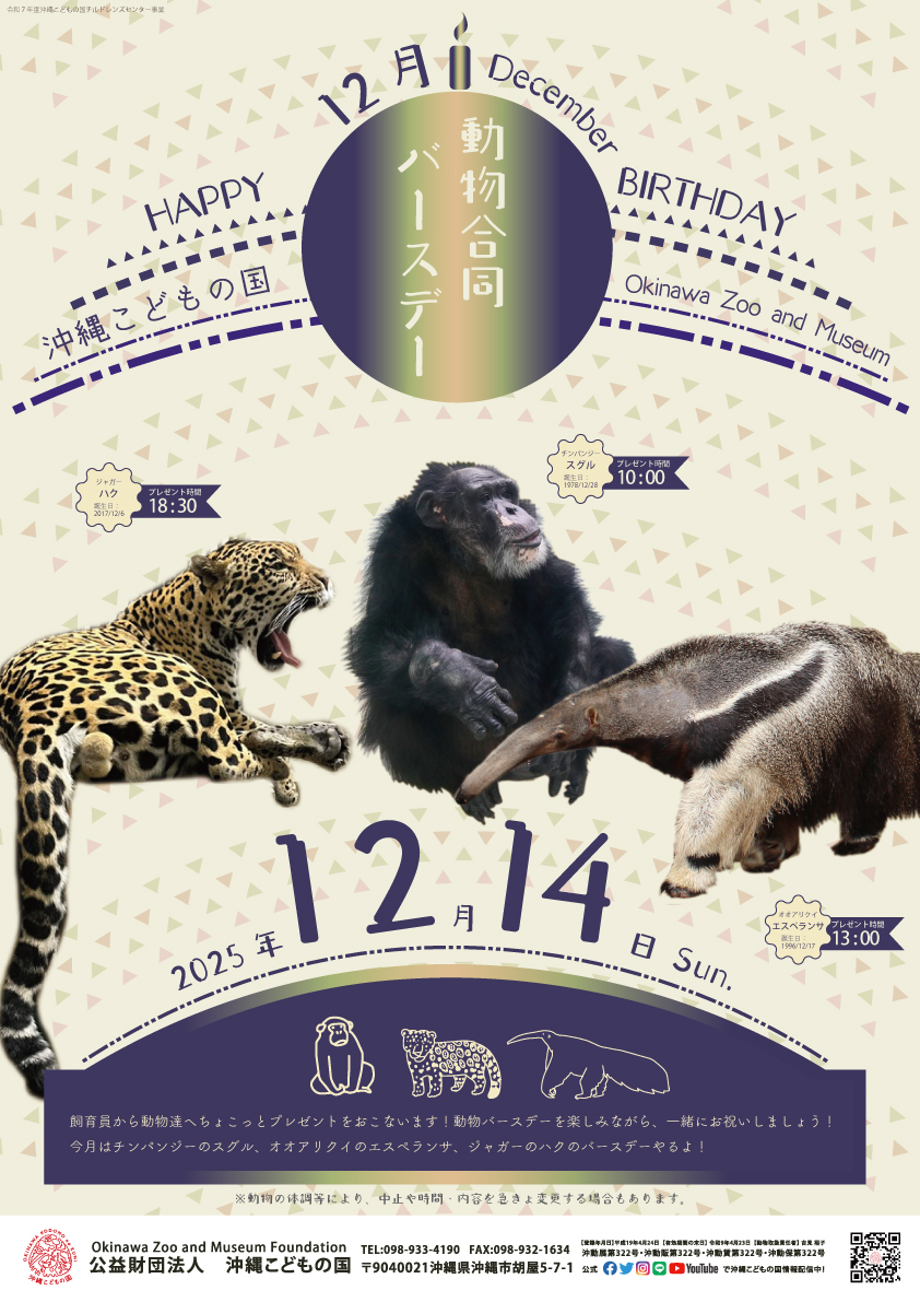 動物12月合同バースデー！ | 沖縄こどもの国 - Okinawa Zoo & Museum