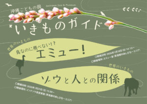 【1月】沖縄こどもの国いきものガイド