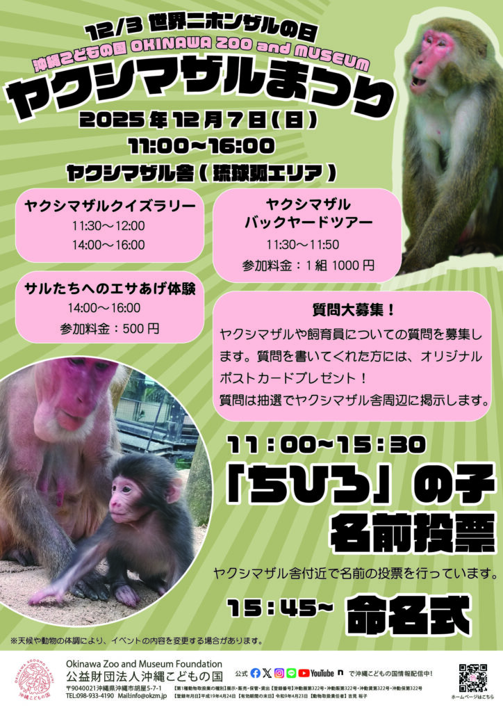 世界ニホンザルの日「ヤクシマザルまつり」