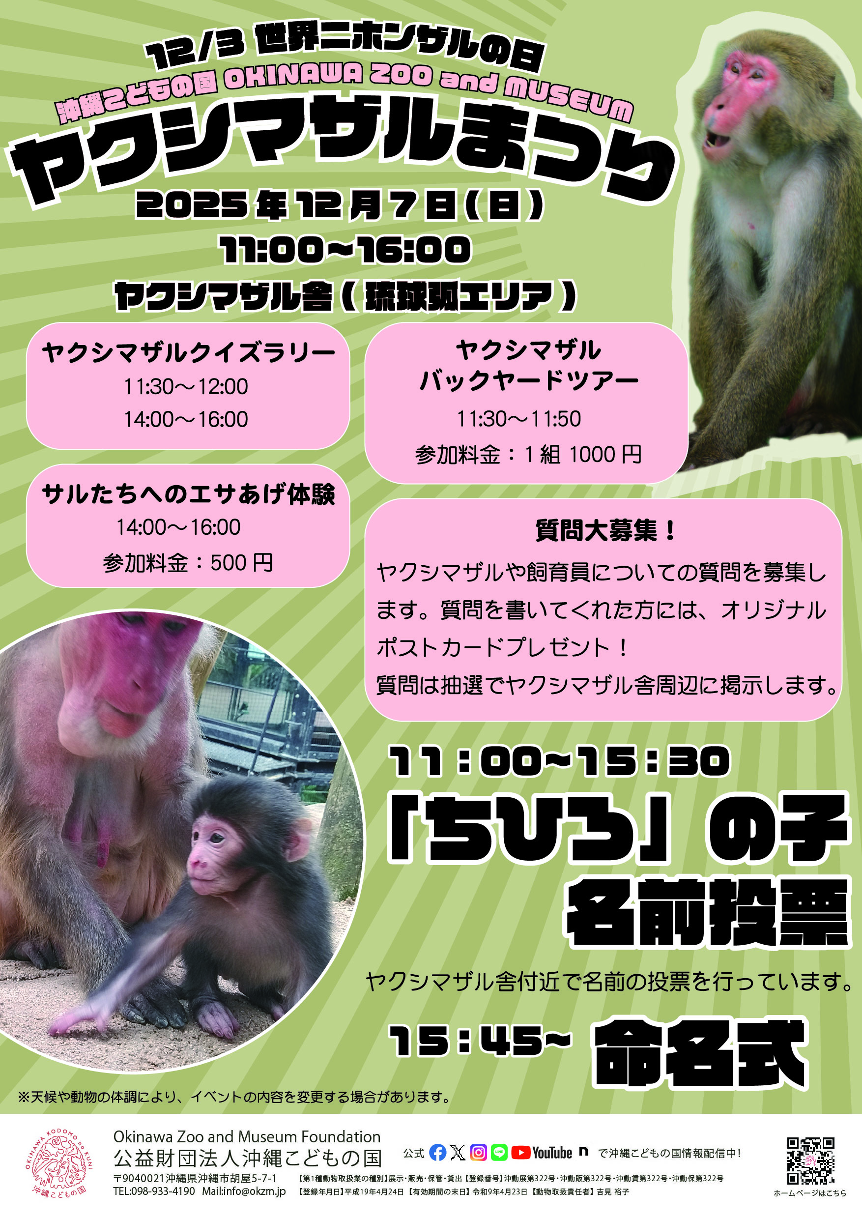 世界ニホンザルの日「ヤクシマザルまつり」 | 沖縄こどもの国