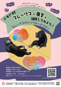 どうぶつ広場特別ワークショップ「ドキドキ！！マレーグマの寝室を体験してみよう！～マレーグマのバックヤードツアー～」