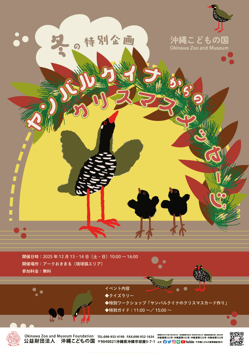 冬の特別企画 ヤンバルクイナからのクリスマスメッセージ | 沖縄こども