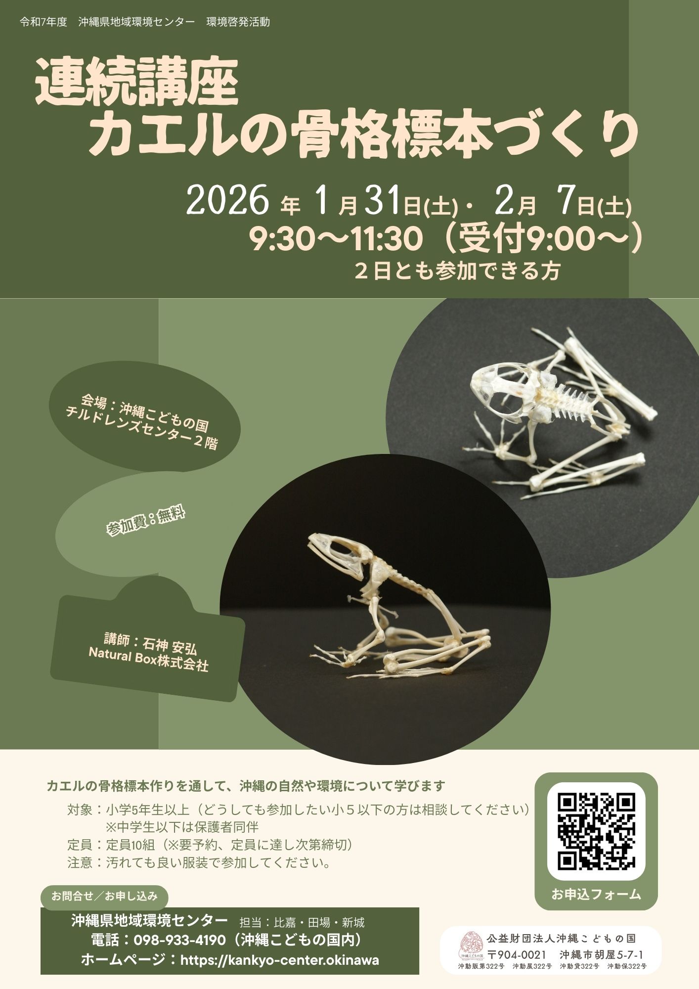 2601カエルの骨格標本作り.jpg