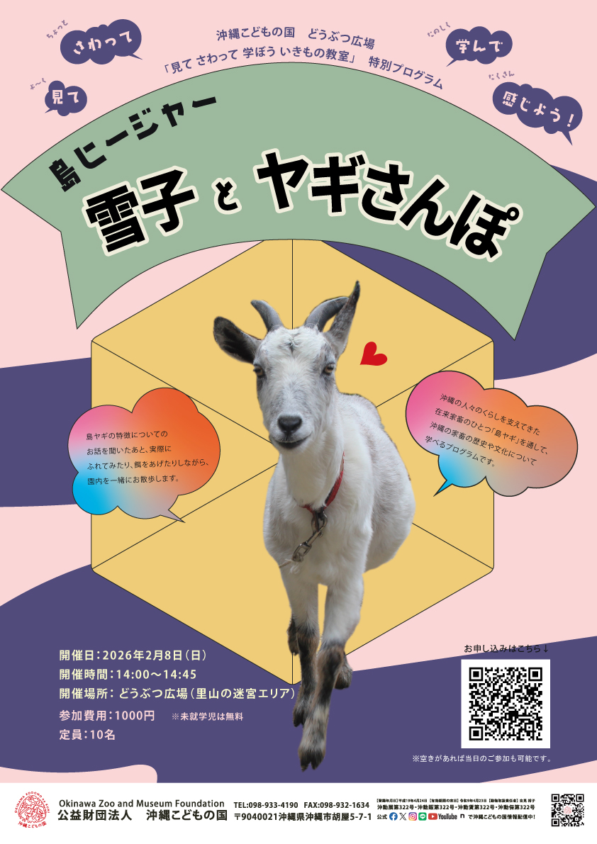 どうぶつ広場特別ワークショップ「島ヒージャー雪子とヤギさんぽ