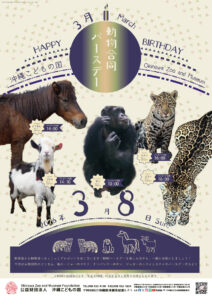 動物3月合同バースデー！