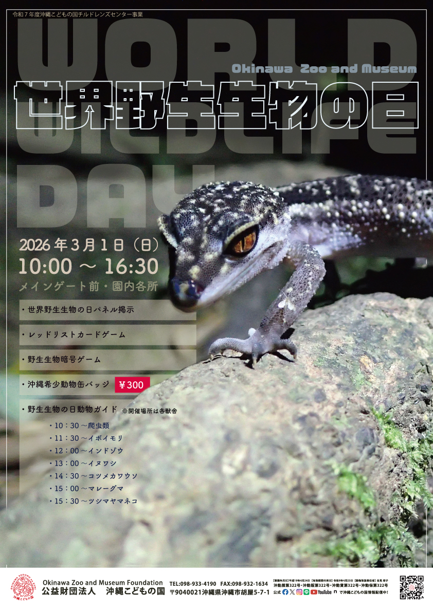 世界野生生物の日特別イベント | 沖縄こどもの国 - Okinawa Zoo & Museum