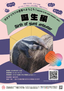 どうぶつ広場特別ワークショップ「オオアリクイの世界へようこそ！　～赤ちゃん誕生編～Welcome to the World of Giant Anteaters！」