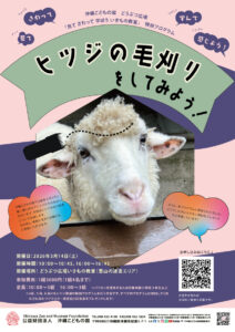 どうぶつ広場特別ワークショップ「ヒツジの毛刈りをしてみよう！」