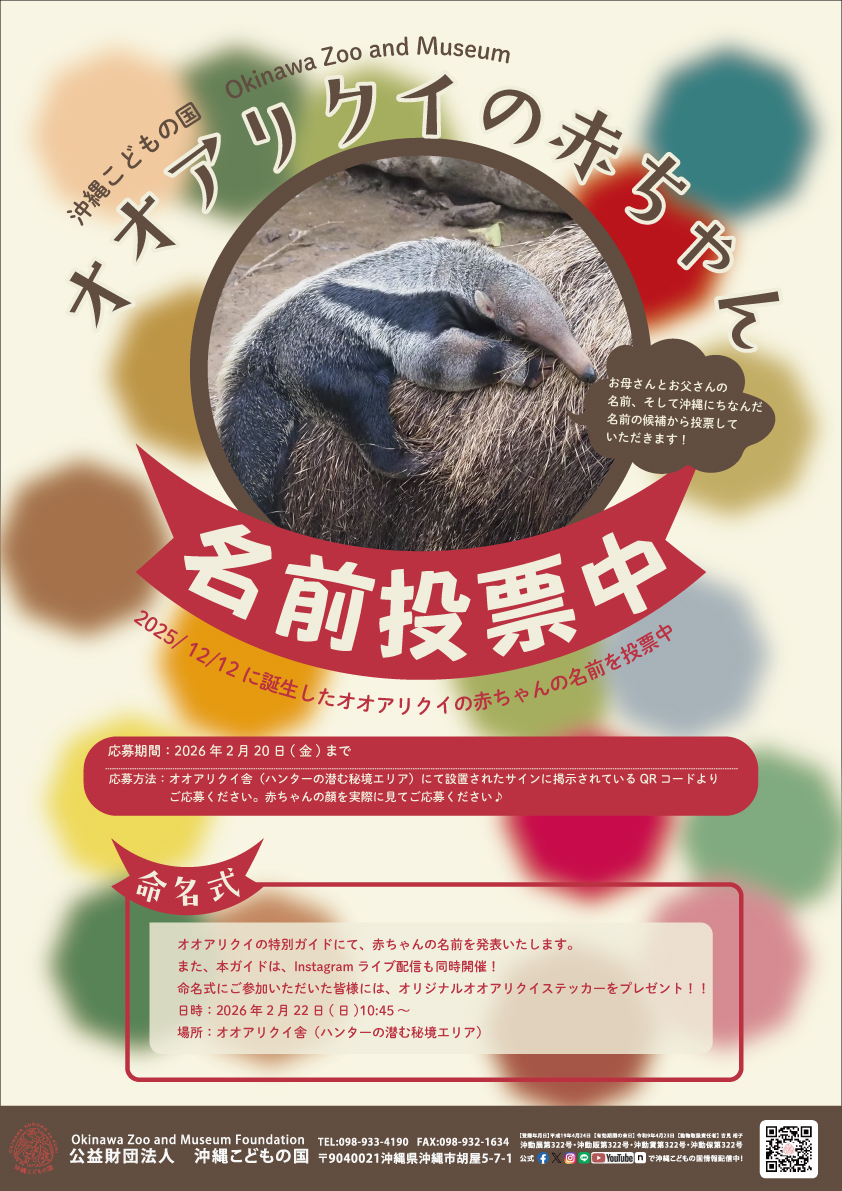 オオアリクイの赤ちゃんの名前投票＆命名式 | 沖縄こどもの国