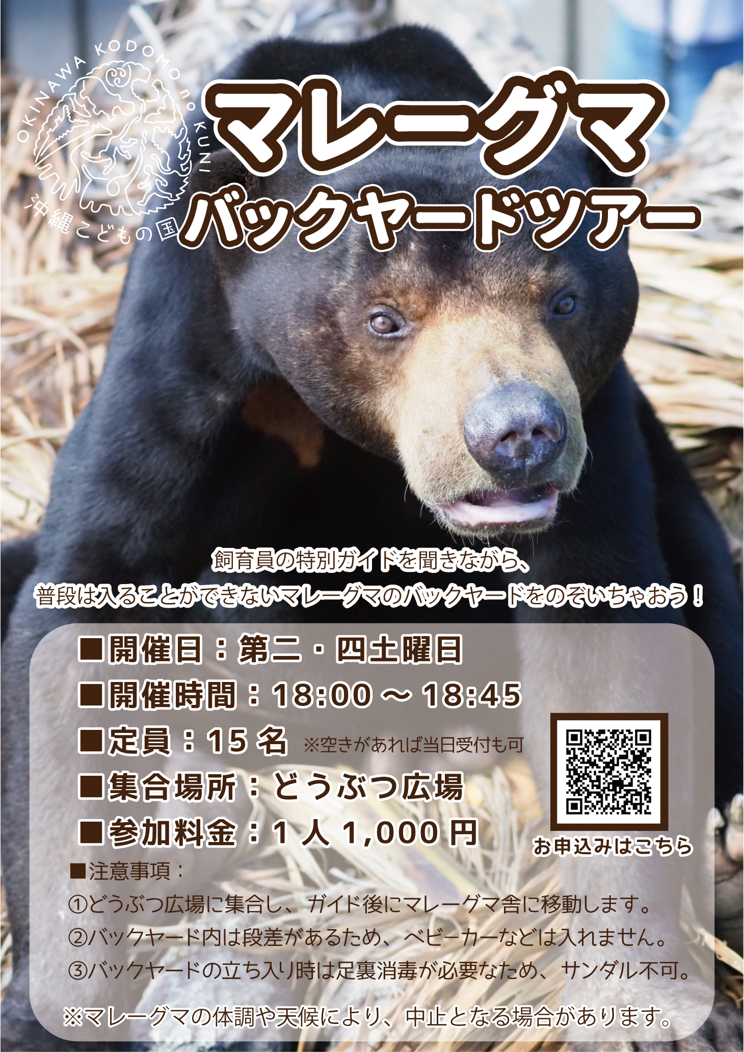 マレーグマ】バックヤードツアー | 沖縄こどもの国 - Okinawa Zoo & Museum