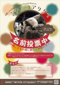 新しく仲間入りしたミナミコアリクイの名前投票＆命名式