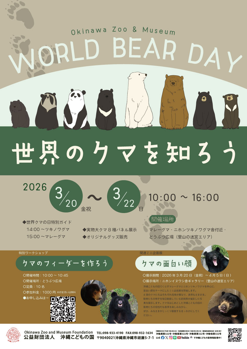 世界のクマを知ろう～World Bear Day～ | 沖縄こどもの国 - Okinawa