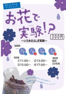 お花で実験～いろ水のふしぎ実験～