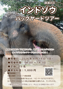 ４１９（しいく）の日・インドゾウのバックヤードツアー