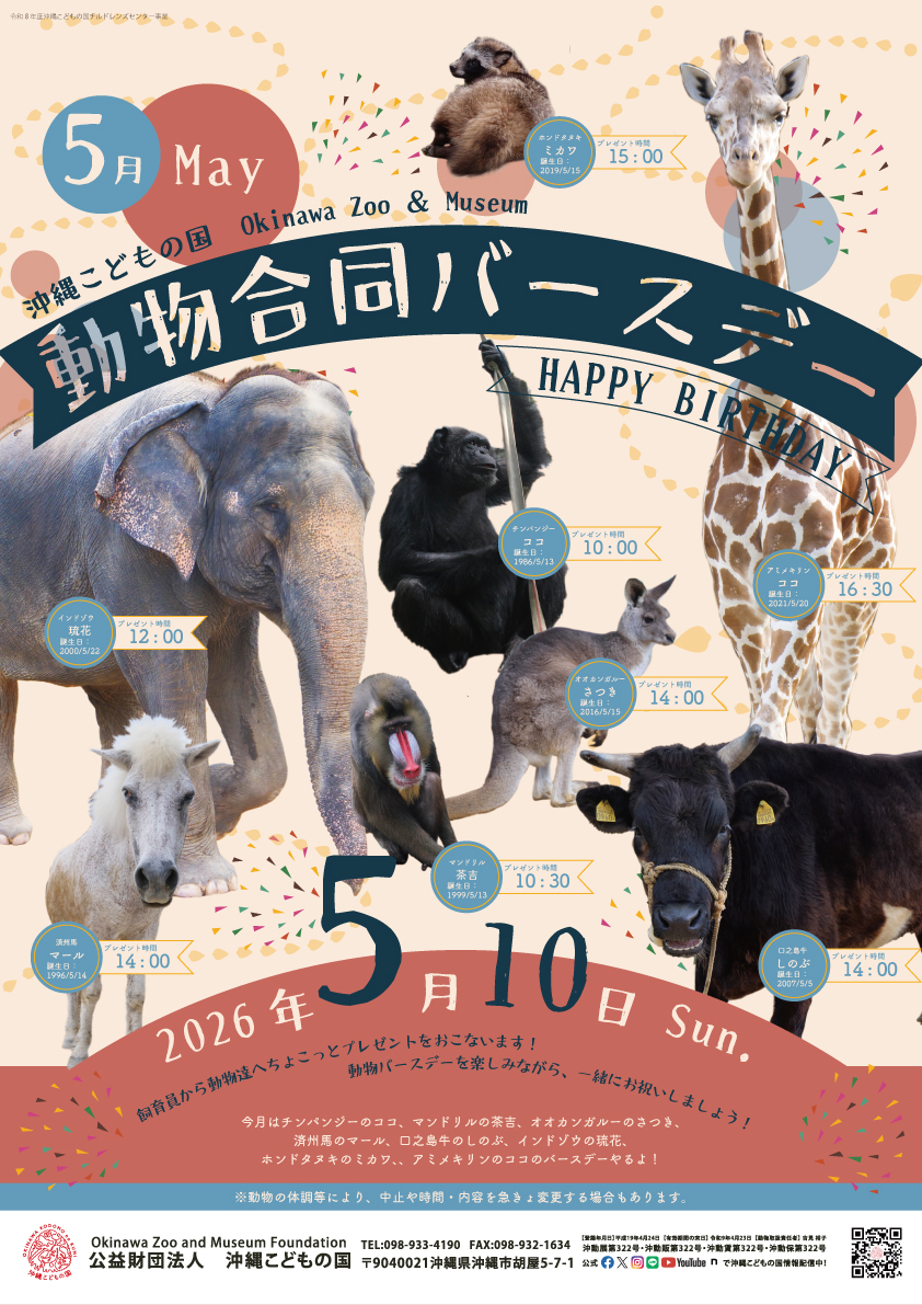 動物5月合同バースデー！ | 沖縄こどもの国 - Okinawa Zoo & Museum