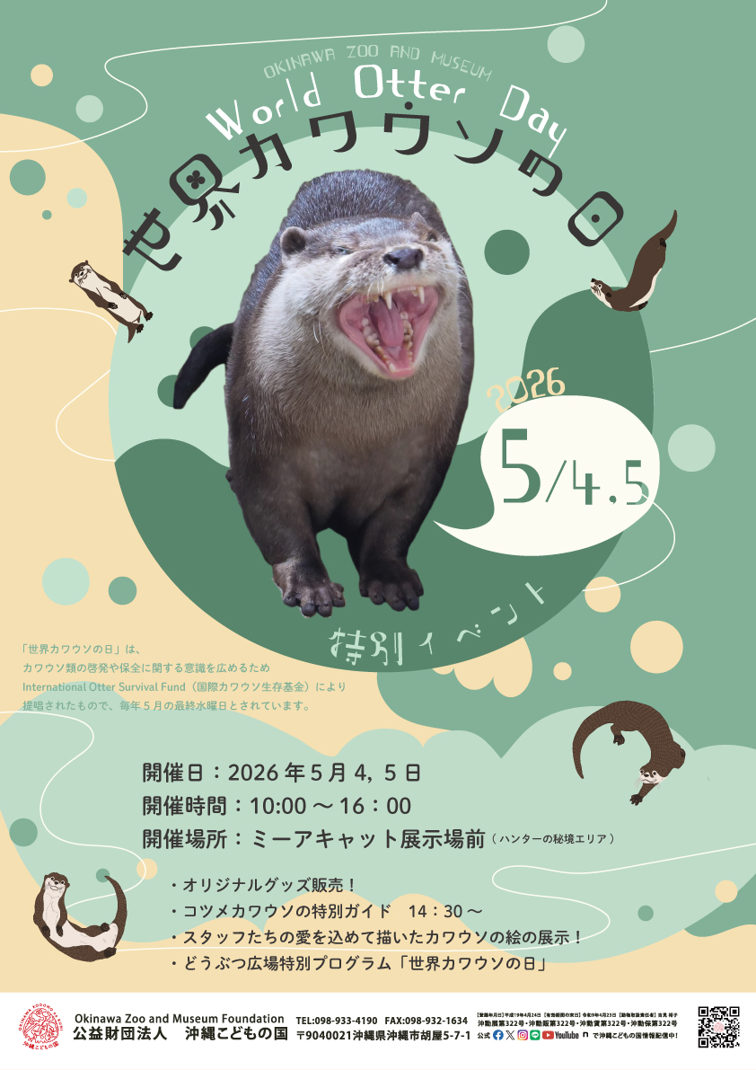 世界カワウソの日 | 沖縄こどもの国 - Okinawa Zoo & Museum
