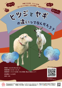 どうぶつ広場特別ワークショップ「ヒツジとヤギの違いってなんだろう？」