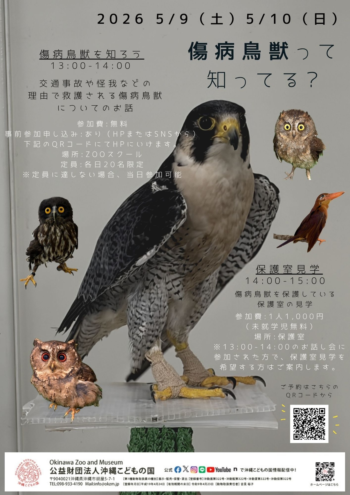 沖縄こどもの国愛鳥週間企画2026 | 沖縄こどもの国 - Okinawa Zoo & Museum