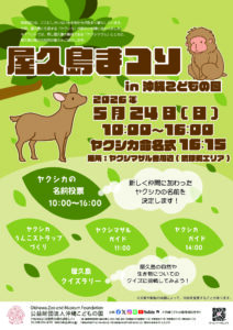 屋久島まつり in 沖縄こどもの国