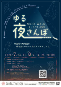 沖縄こどもの国夜（ゆる）散歩
