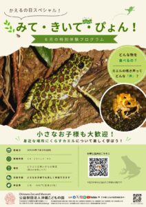 どうぶつ広場特別プログラム「かえるの日スペシャル！みて・きいて・ぴょん！」