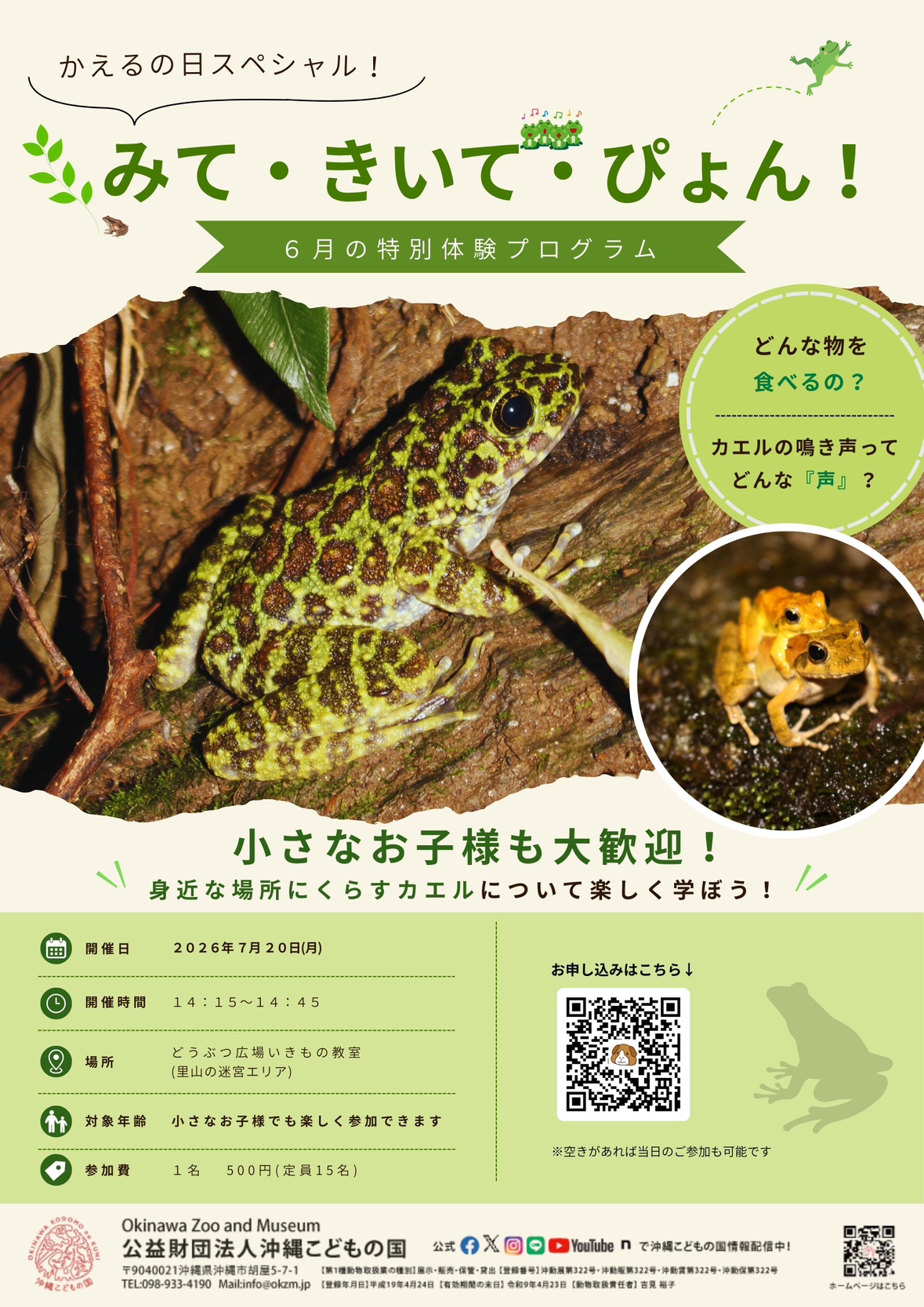 溢れかえる岸辺 ONS 日 2枚 どうぶつ広場特別プログラム「かえるの日スペシャル！みて・きいて