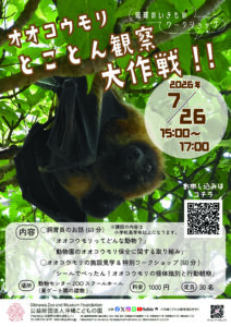琉球のいきものワークショップ「オオコウモリとことん観察！大作戦！！」