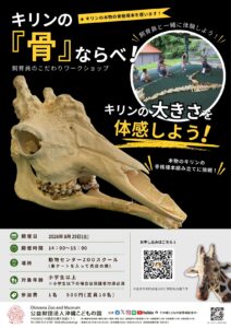 飼育員こだわりワークショップ「キリンの骨ならべ！」