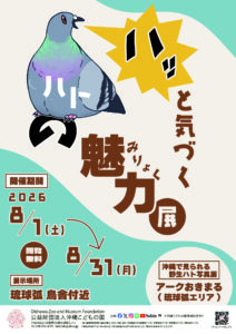 ハッと気づく ハトの魅力