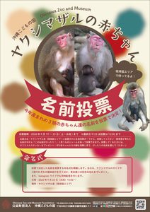 ヤクシマザル名前投票＆命名式