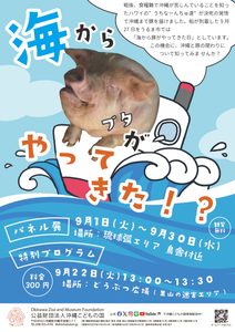 飼育員こだわりワークショップ「海から豚がやってきた！？」