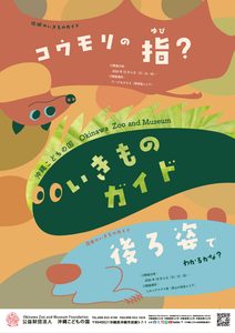 【10月】沖縄こどもの国いきものガイド