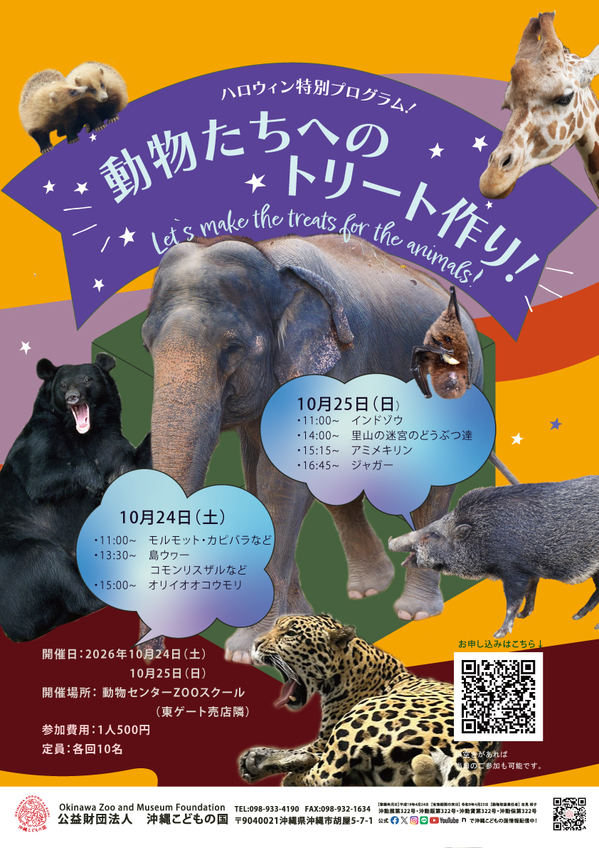 アニマルゾーン | 沖縄こどもの国 - Okinawa Zoo & Museum
