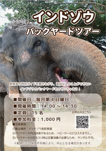 定期開催【インドゾウ】バックヤードツアー